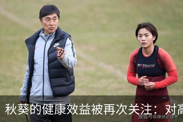 秋葵的健康效益被再次关注：对高血脂的影响解析